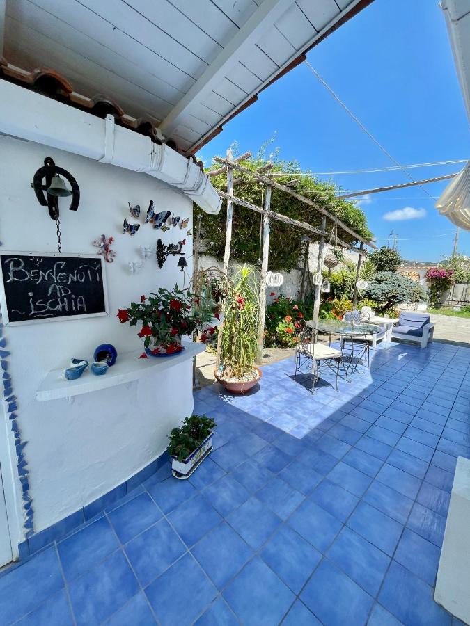 Bed and Breakfast La Bicocca Di Annavi Forio di Ischia Exterior foto